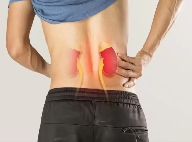 Chronic Kidney Disease Causes Symptoms Management