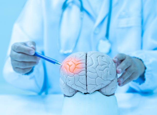 What Everyone Needs To Know About Stroke A Comprehensive Guide