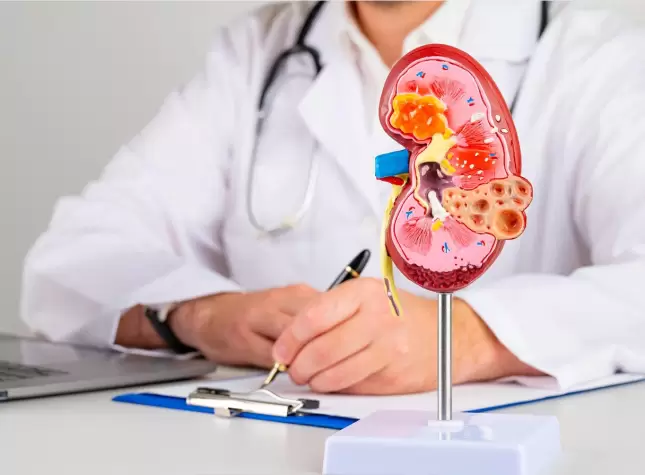 Best Kidney Doctors In Kolkata